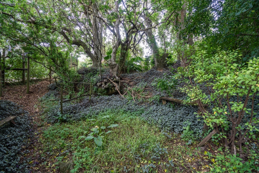 To Let 2 Bedroom Property for Rent in Bathurst Eastern Cape